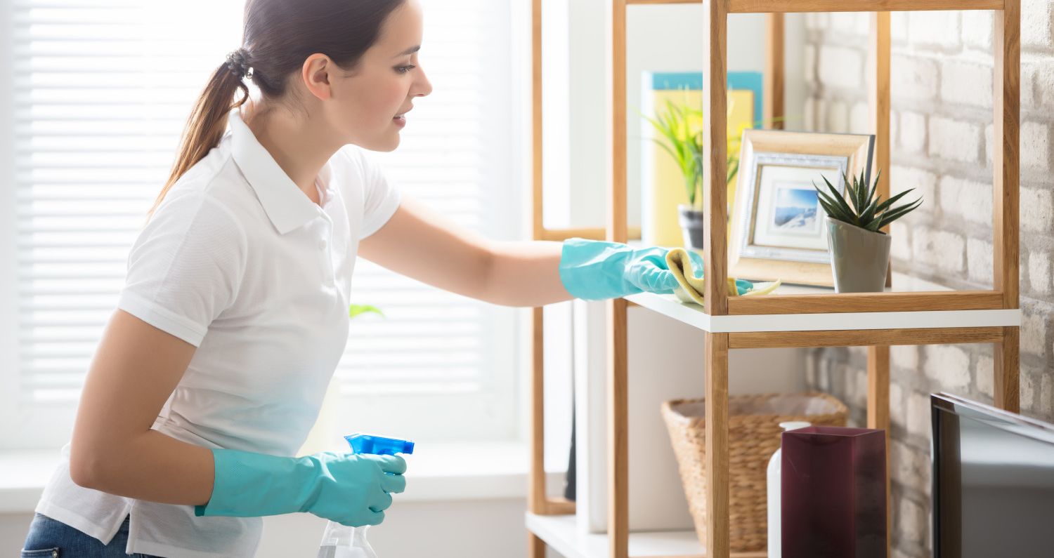 house cleaning service in alexandria va