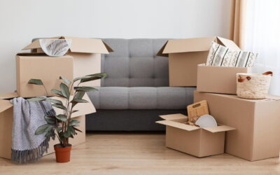 How Moving Out Could Be Hassle-Free With A Professional Move Out Cleaning Service?