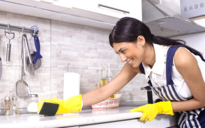 Why Hire House Cleaning Services In Alexandria VA?