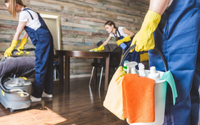 Discover the Benefits of Professional Domestic Cleaning Services in Alexandria